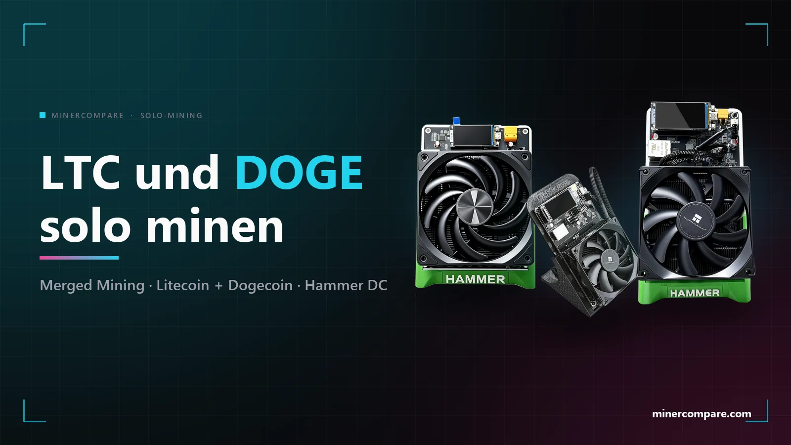 HammerMiner DC08, DC06 und DC04 auf dunklem Hintergrund neben dem Titel Litecoin und Dogecoin zu Hause solo minen