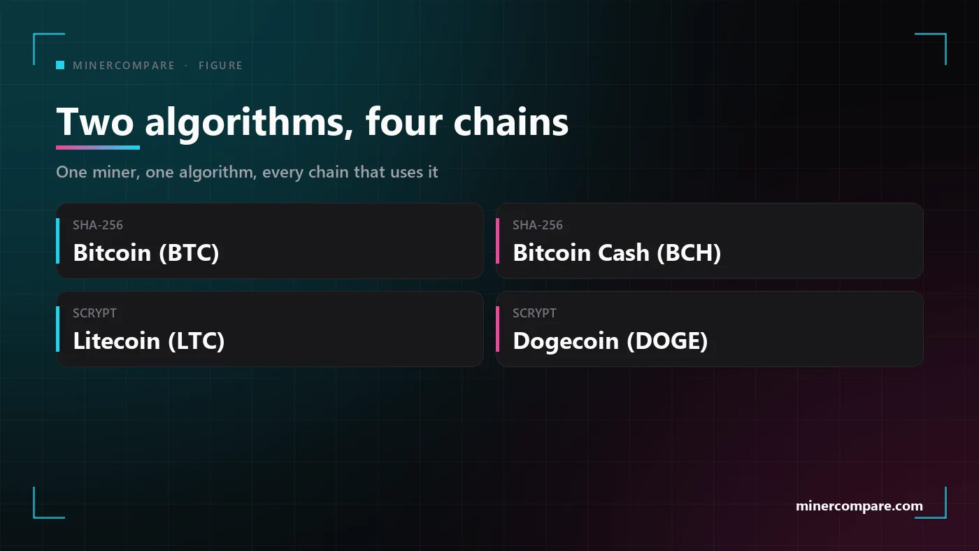 Four tiles showing the two solo mining algorithms and the chains each one can play: SHA-256 for Bitcoin or Bitcoin Cash, Scrypt for Litecoin plus Dogecoin