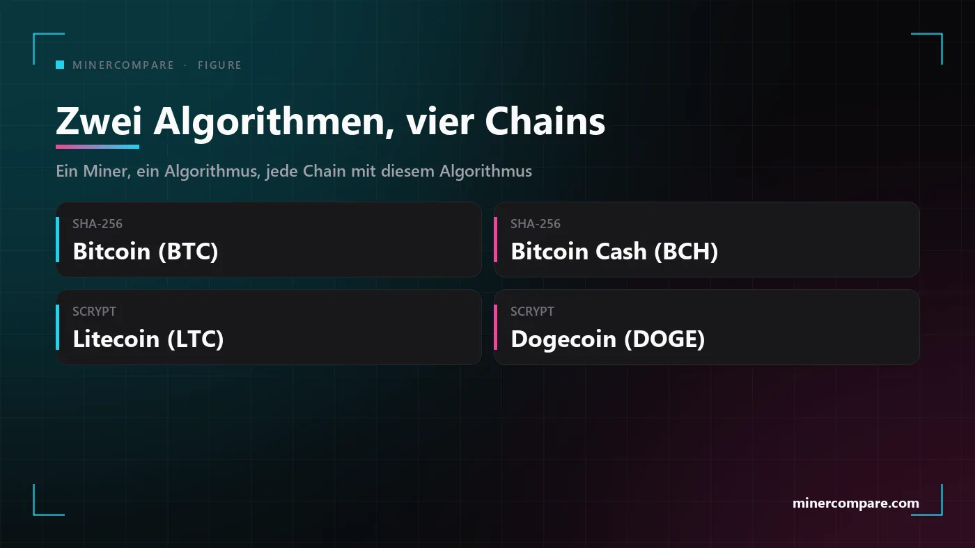 Vier Kacheln mit den zwei Solo-Mining-Algorithmen und den Chains, die jeder spielen kann: SHA-256 für Bitcoin oder Bitcoin Cash, Scrypt für Litecoin plus Dogecoin