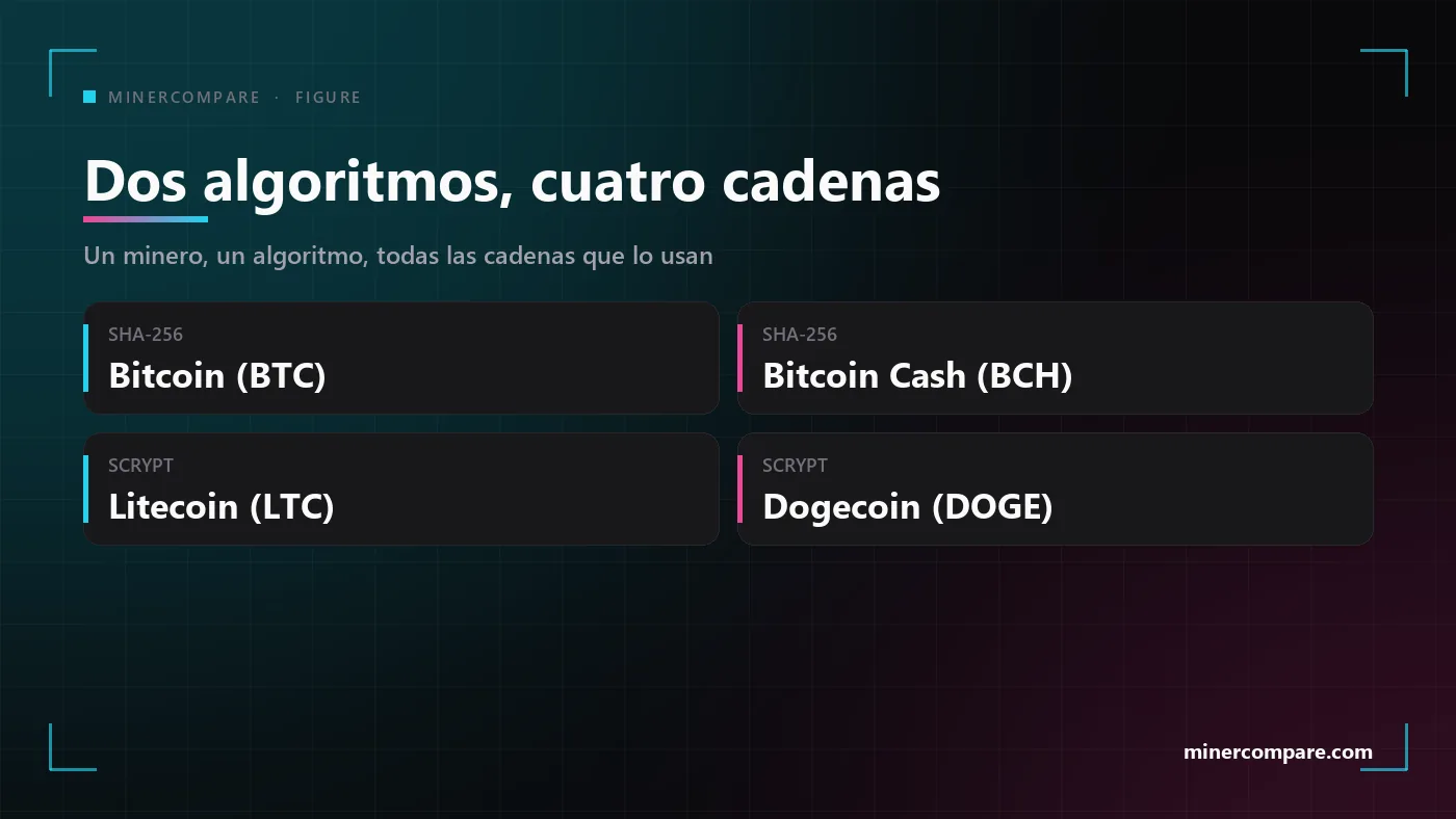 Cuatro fichas con los dos algoritmos de minería en solitario y las cadenas que cada uno puede jugar: SHA-256 para Bitcoin o Bitcoin Cash, Scrypt para Litecoin más Dogecoin