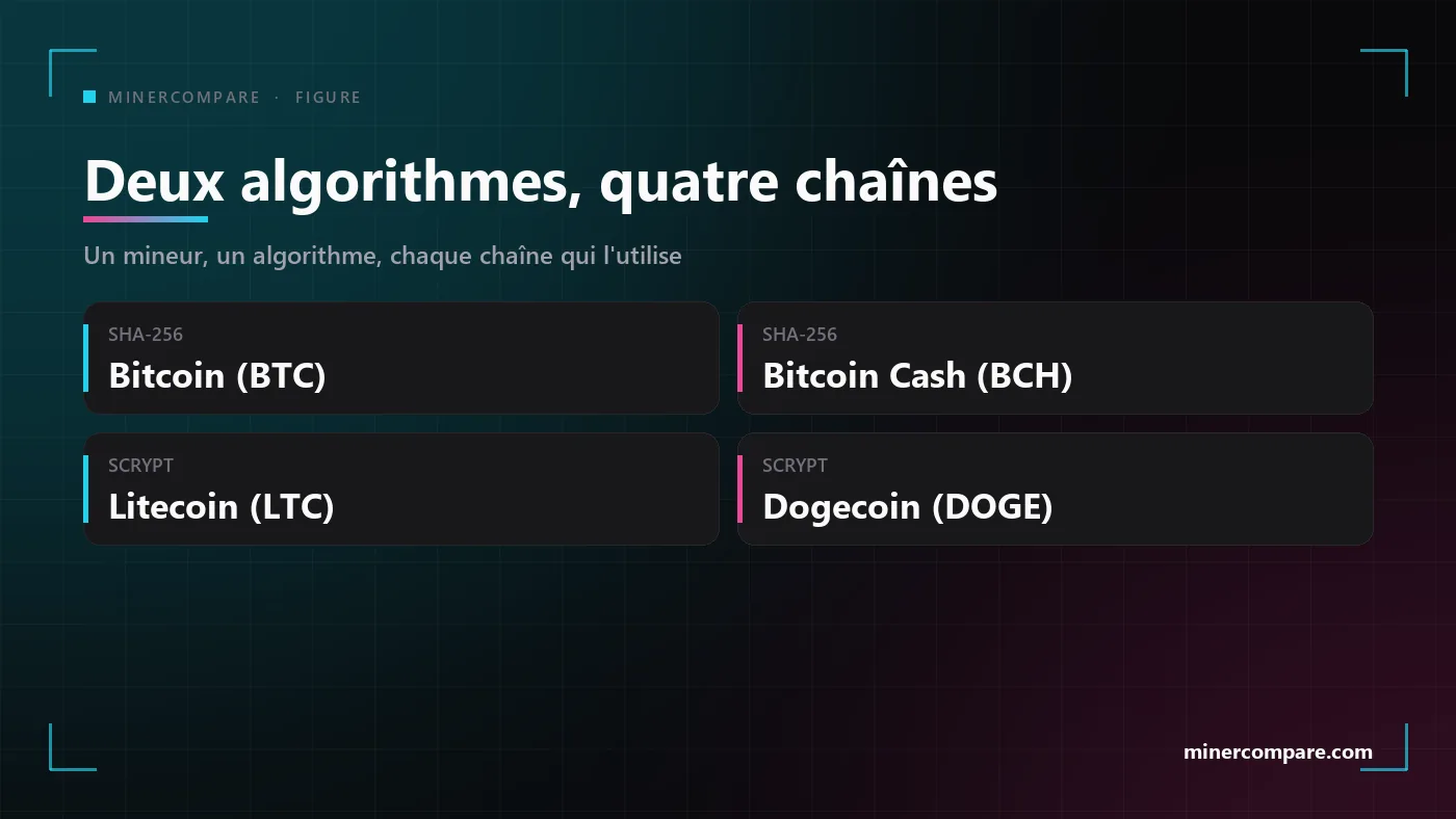 Quatre tuiles montrant les deux algorithmes de minage solo et les chaînes que chacun peut jouer : SHA-256 pour Bitcoin ou Bitcoin Cash, Scrypt pour Litecoin plus Dogecoin