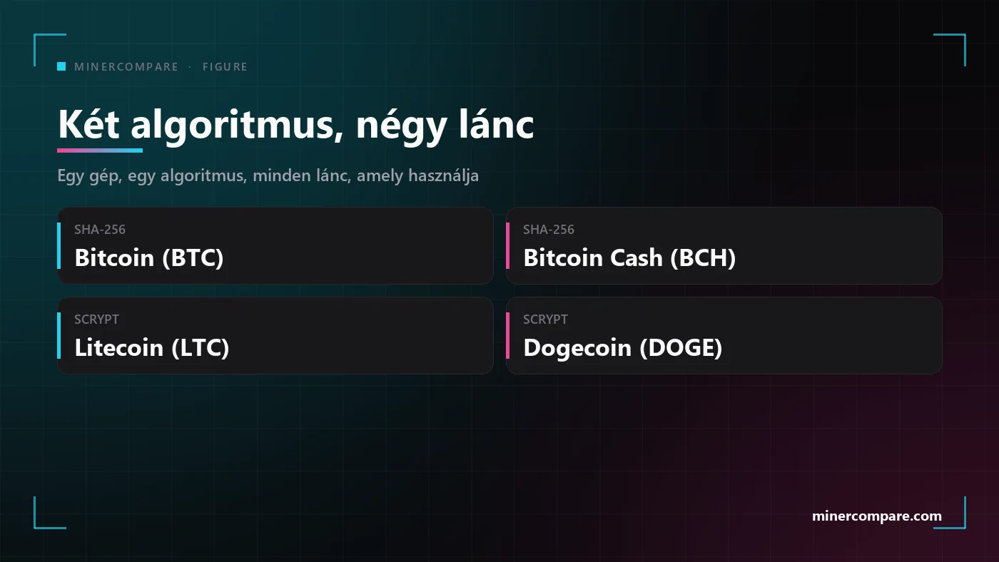 Négy csempe a két szóló bányászati algoritmussal és a láncokkal, amelyeken játszhatnak: SHA-256 Bitcoinhoz vagy Bitcoin Cashhez, Scrypt Litecoinhoz és Dogecoinhoz