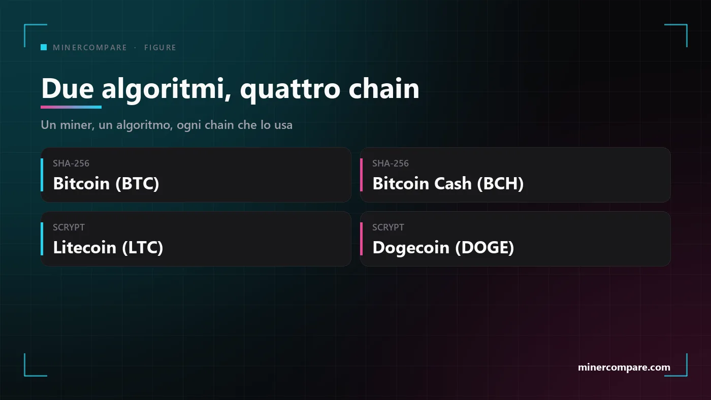 Quattro riquadri con i due algoritmi di solo mining e le chain che ciascuno può giocare: SHA-256 per Bitcoin o Bitcoin Cash, Scrypt per Litecoin più Dogecoin
